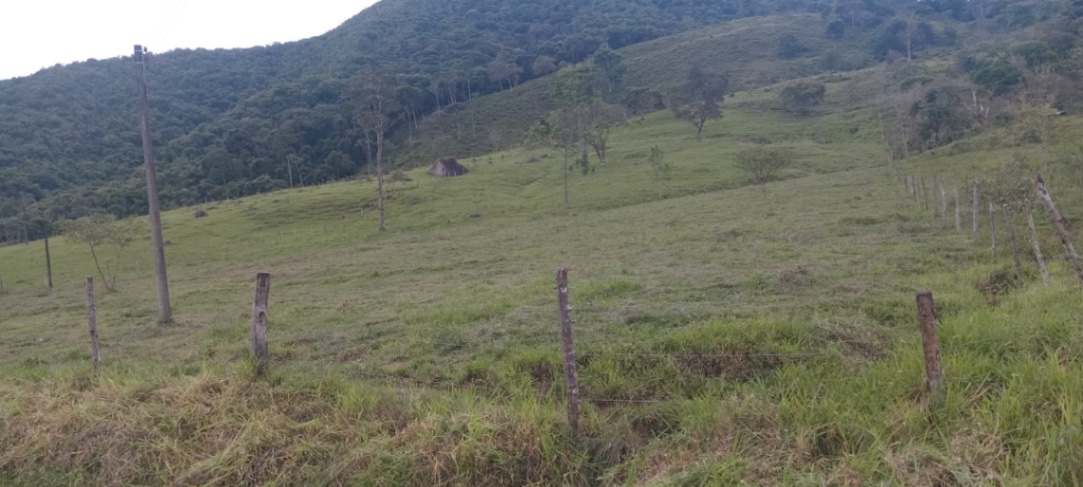 Mesetas, Meta, Colombia 3